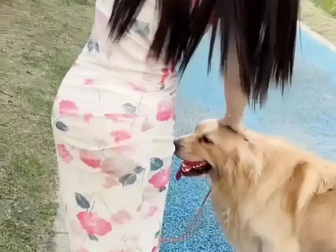 《抖音香香公主与爱犬金毛》完整版在线看-高清免费观看抖音香香公主与爱犬日常互动-直播回放无广告网盘资源秒播-《抖音香香公主与爱犬金毛》直播回放吃瓜