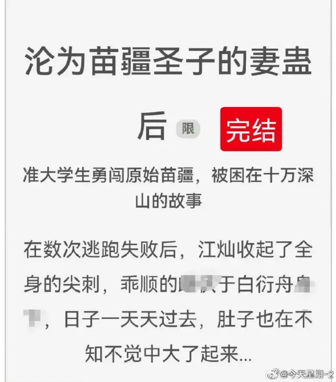 《沦为苗疆圣子的妻蛊后》全集txt下载_免费阅读全文_完结版资源百度云网盘_狐狸雨小说